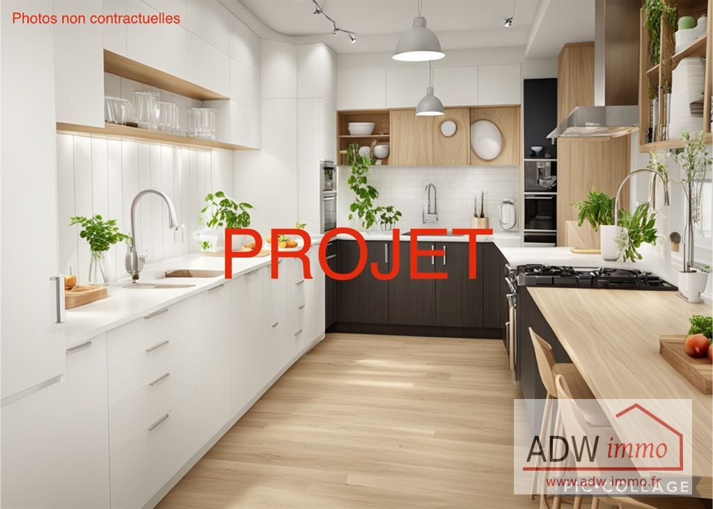 appartement 1 pièce en vente sur MOISENAY (77950)