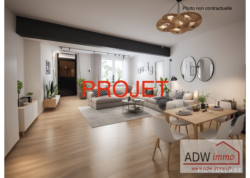 appartement 1 pièce en vente sur MOISENAY (77950)