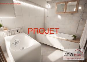appartement 1 pièce en vente sur MOISENAY (77950)