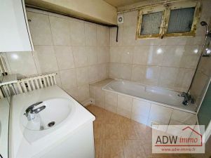 appartement 1 pièce en vente sur MOISENAY (77950)