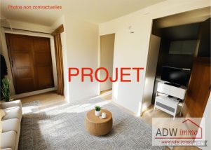 appartement 1 pièce en vente sur MOISENAY (77950)
