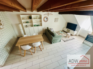 appartement 3 pièces en vente sur MELUN (77000)