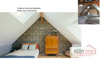 duplex 1 pièce en vente sur MOISENAY (77950)