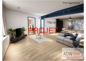 appartement 1 pièce en vente sur MOISENAY (77950)